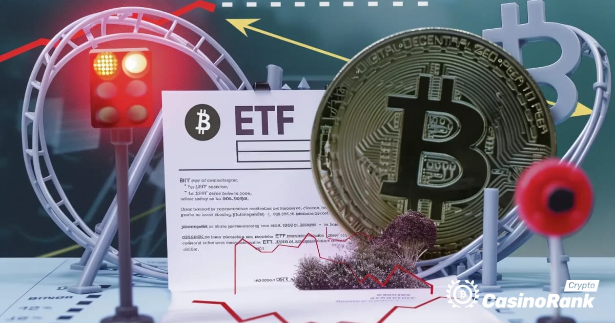 Previsto o rali recorde do Bitcoin: ETFs e FOMO gerando mÃ¡ximas sem precedentes