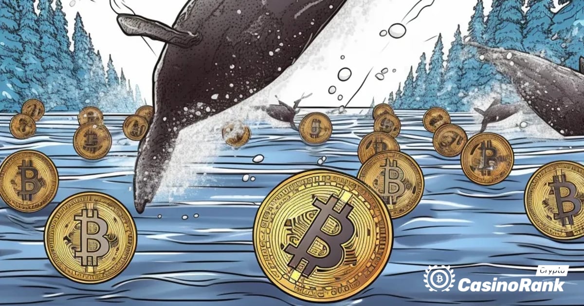 Movimentos de baleias no mercado de criptomoedas: tokens MATIC e SOL transferidos
